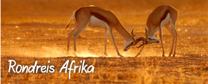 Rondreis Afrika